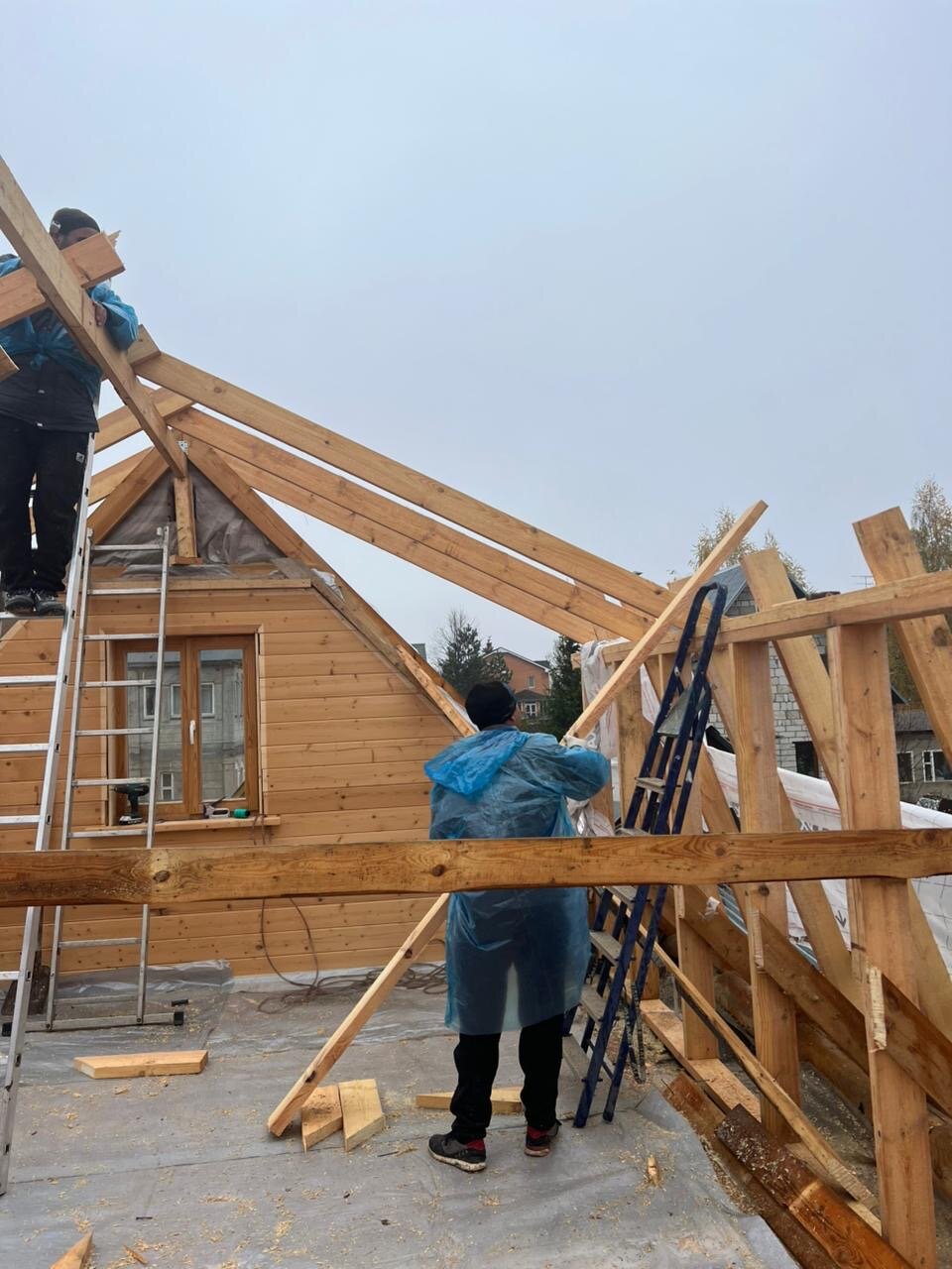 ������������ ���������������������� ��������������, �������������������������� ��������, ������������ ��������������, ��������������������������, �������������������������� ��������