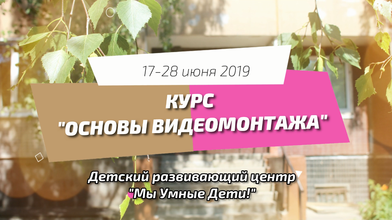 растение, растения, комнатные растения, лекарственные растения, цветоводство