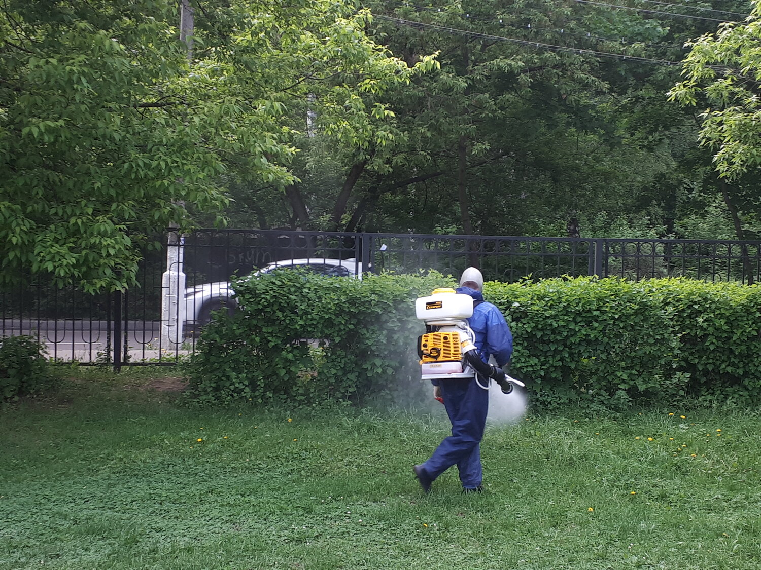 скашивание борщевика, покос борщевика, обработка участков от клещей риск, химическая обработка табличка борщевик, обработка от клещей в парке в котельниках