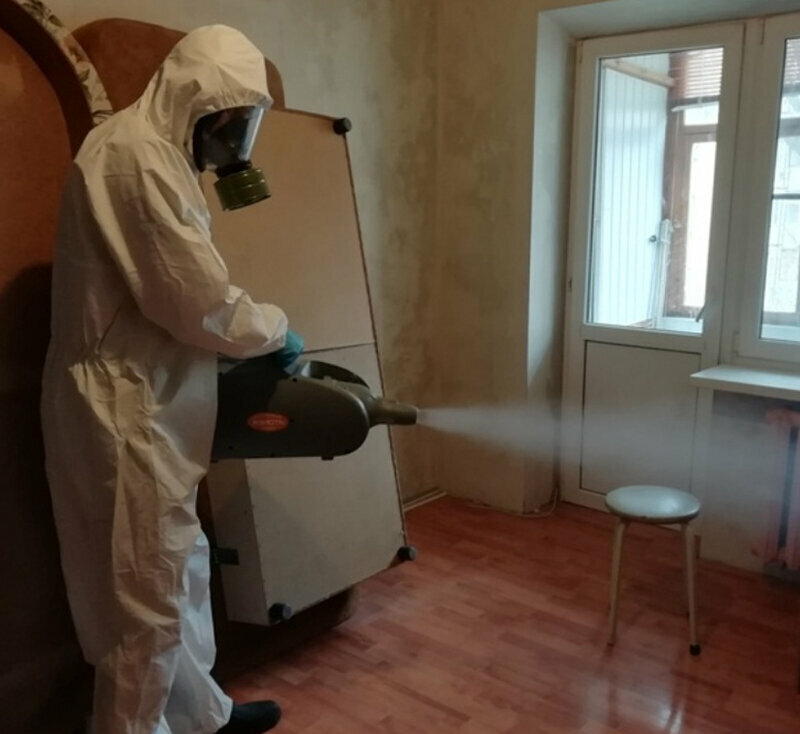 дезинсекция холодным туманом 2021, дезинсекция клопов туманом, дезинфекция помещений, холодный туман от клопов, дезинсекция