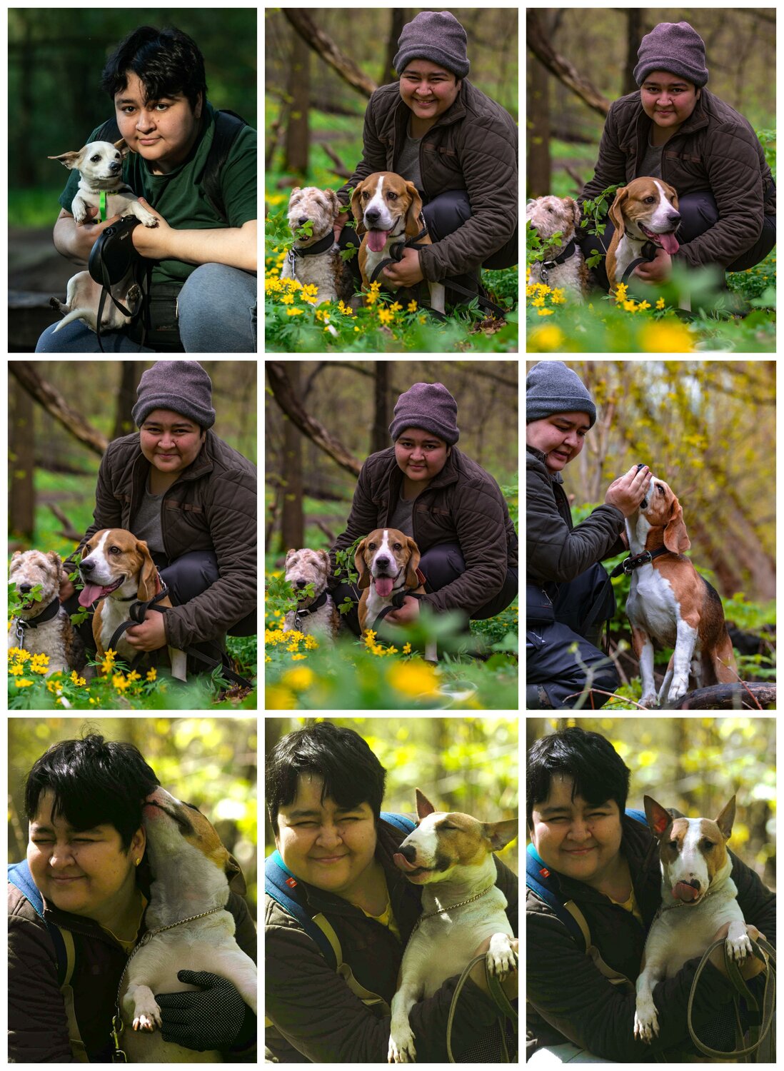 животные, домашние животные, собака, наши любимые животные, приют для собак