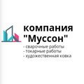 ИП Румянцев А. О. компания "Муссон"