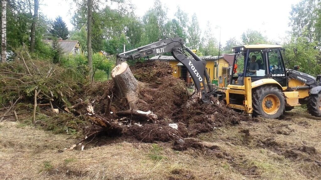 корчевка пней тракторной, корчевка пней, hyundai 200 колесный экскаватор корчевание пней, корчевание пней, корчевание пней трактором