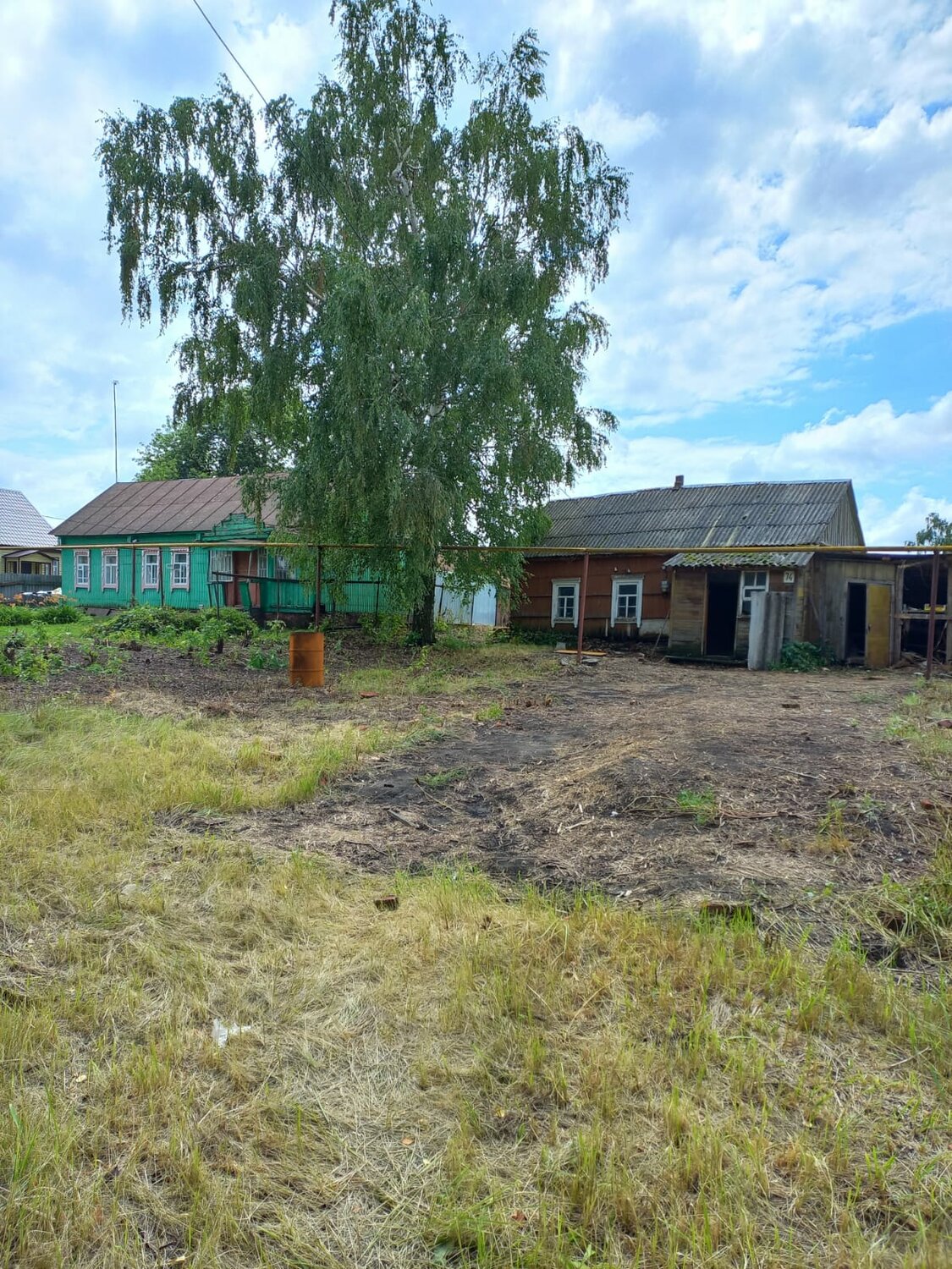 дом в селе, участок, береза повислая (бородавчатая), село, плакучая береза