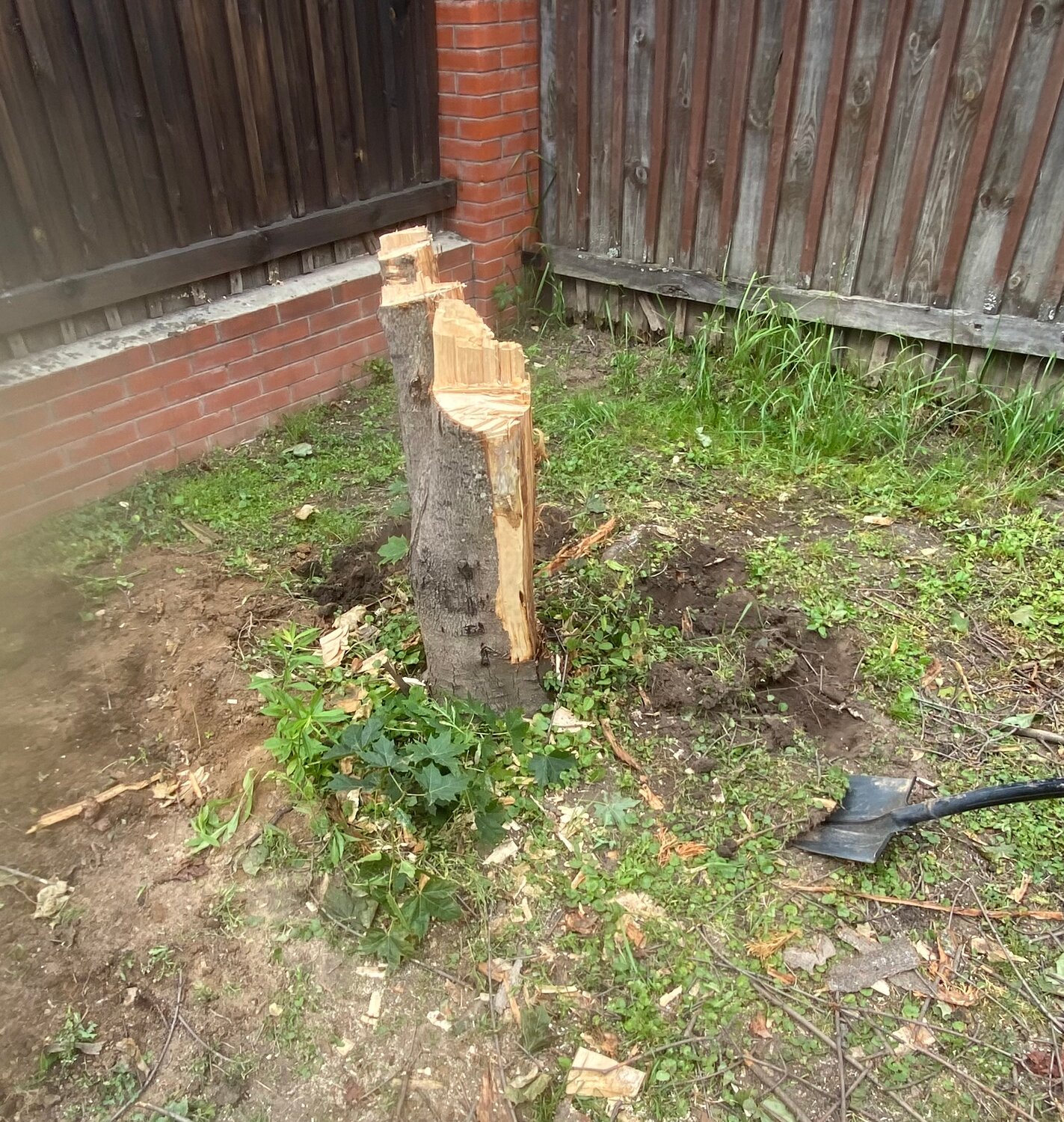 заборные столбы, каменные калитки на даче, деревянный столб, деревянные столбы для забора, спиленное дерево