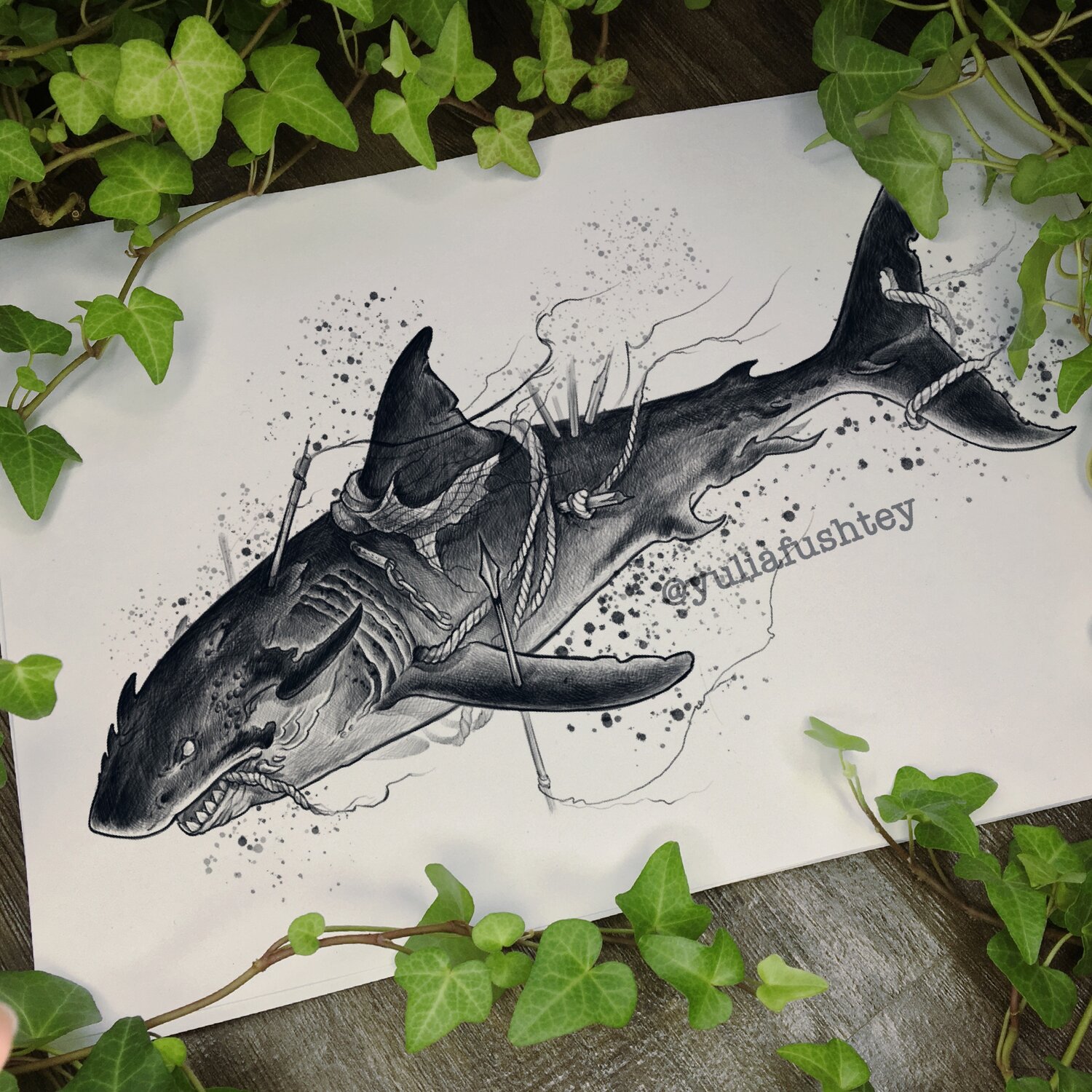 акула дотворк, рисунок акулы, рисунок, эскиз акулы, акула