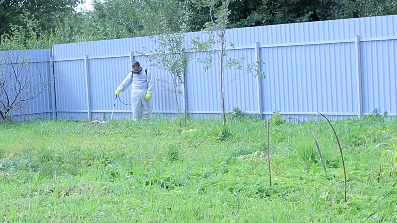 обработка участка от комаров, обработка комаров на участке, забор, участок, сплошной забор