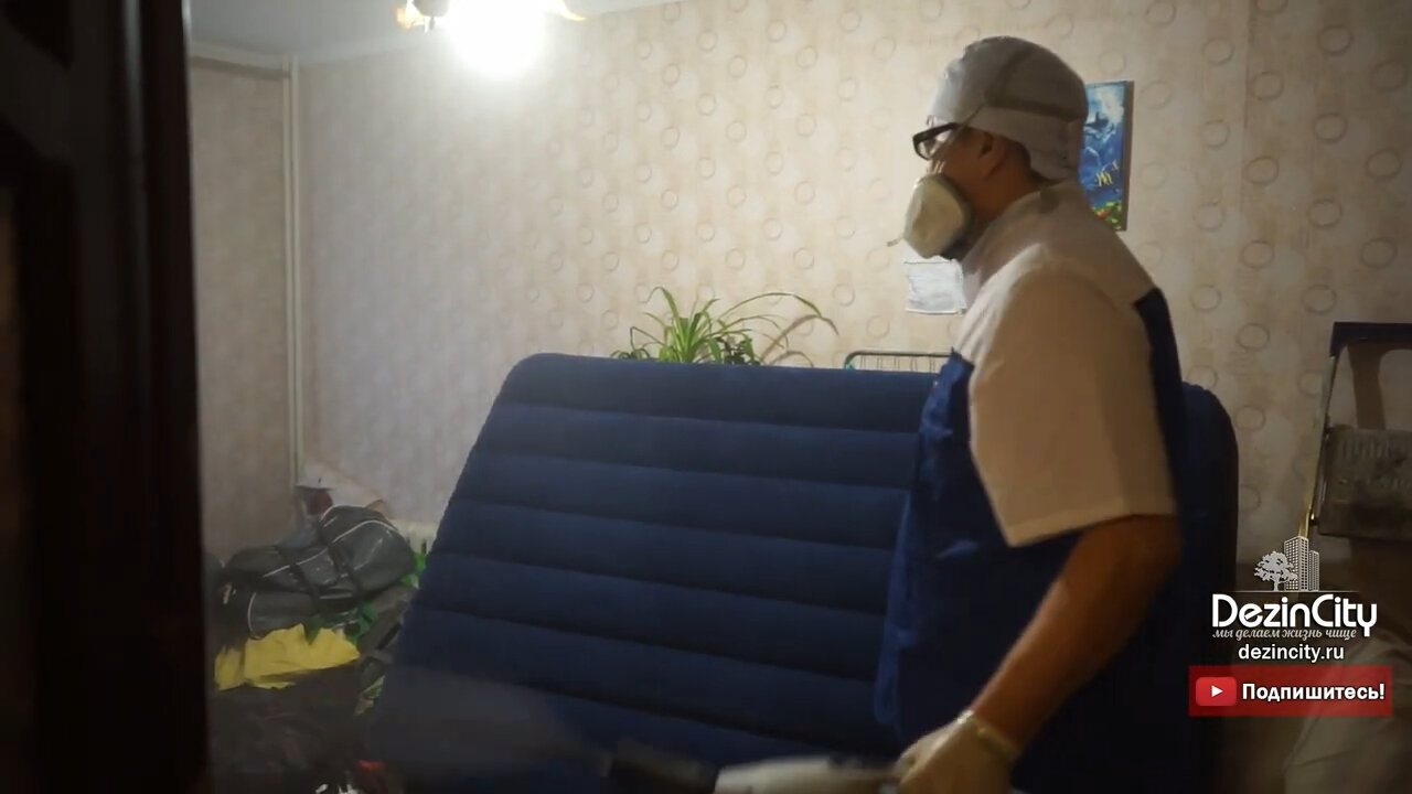 дезинсекция клопов, химчистка мебели на дому, интерьер, дезинфекция от клопов, химчистка