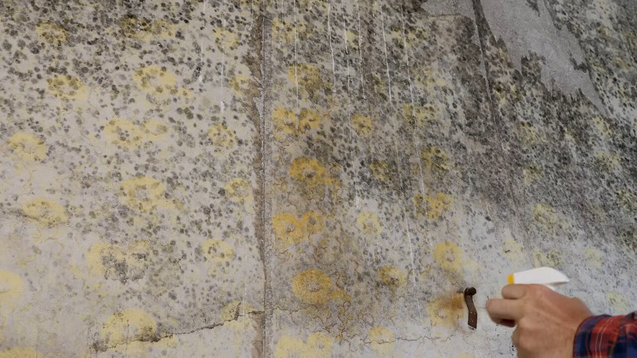 стена дома, стена, плесень текстура, старая стена, текстура бетона