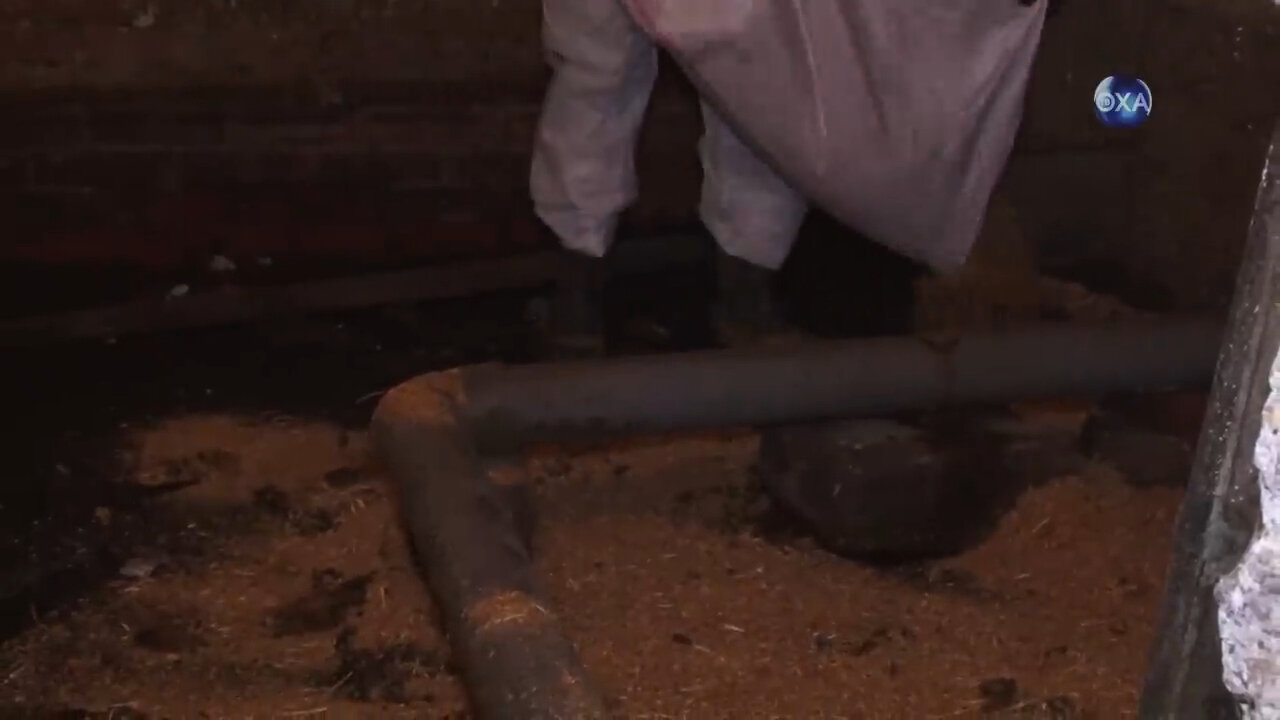 подвал, канализация, канализация в доме, канализация в подвале, трубы в подвале