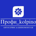 Профи_kolpino