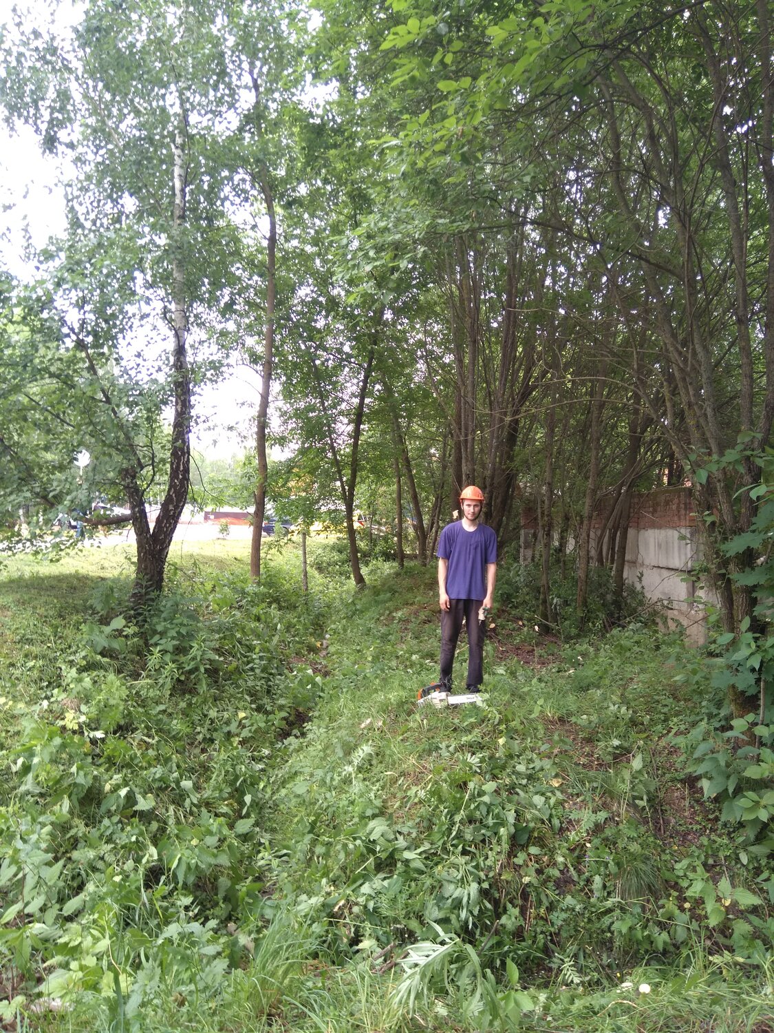 участок, улица, степанов алексей евгеньевич москва, батин роман вячеславович муром, person