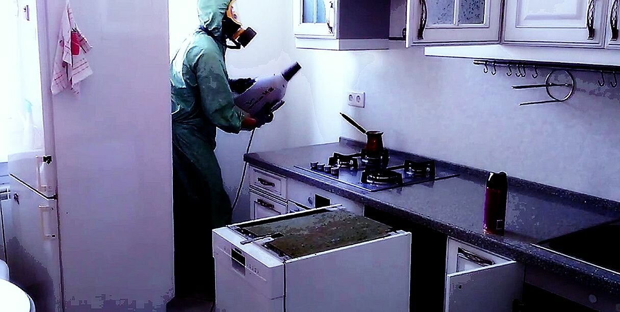 дезинсекция, дезинсекция сток, уничтожение тараканов, дезинфекция, дезинсекция новосибирск