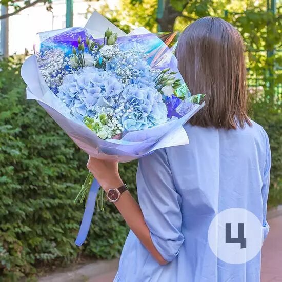 монобукет гортензия, букет гипсофилы гортензия, голубая гортензия монобукет, букет с синей гортензией сборный, букет гортензии