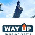 WAYUP