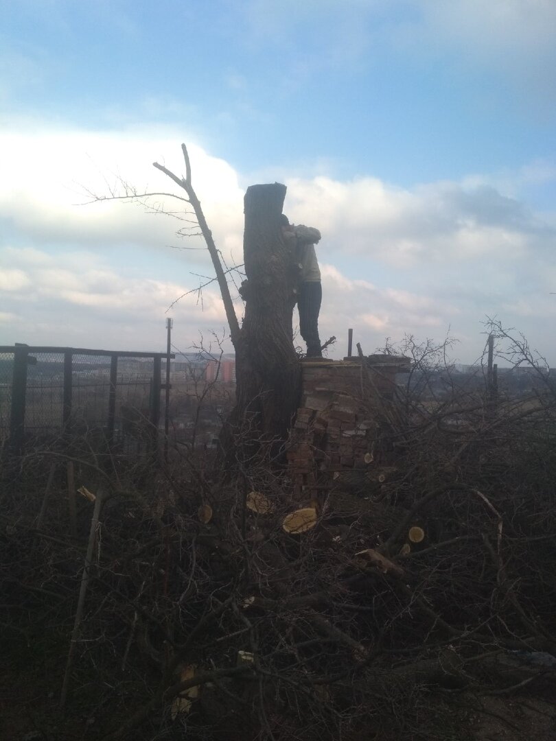 страшное пугало в кукурузном поле, человек, весенняя охота, охота на уток, дерево
