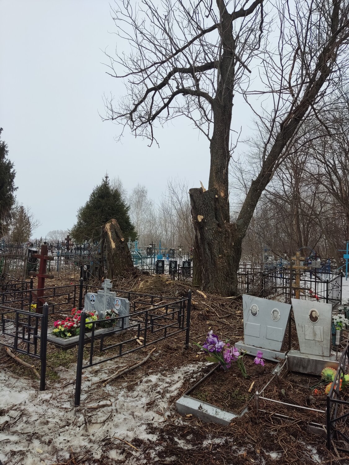 кладбище, городское кладбище, кладбища донецка, российское кладбище, некрополь курск кладбище