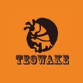 Вейк станция TeoWake