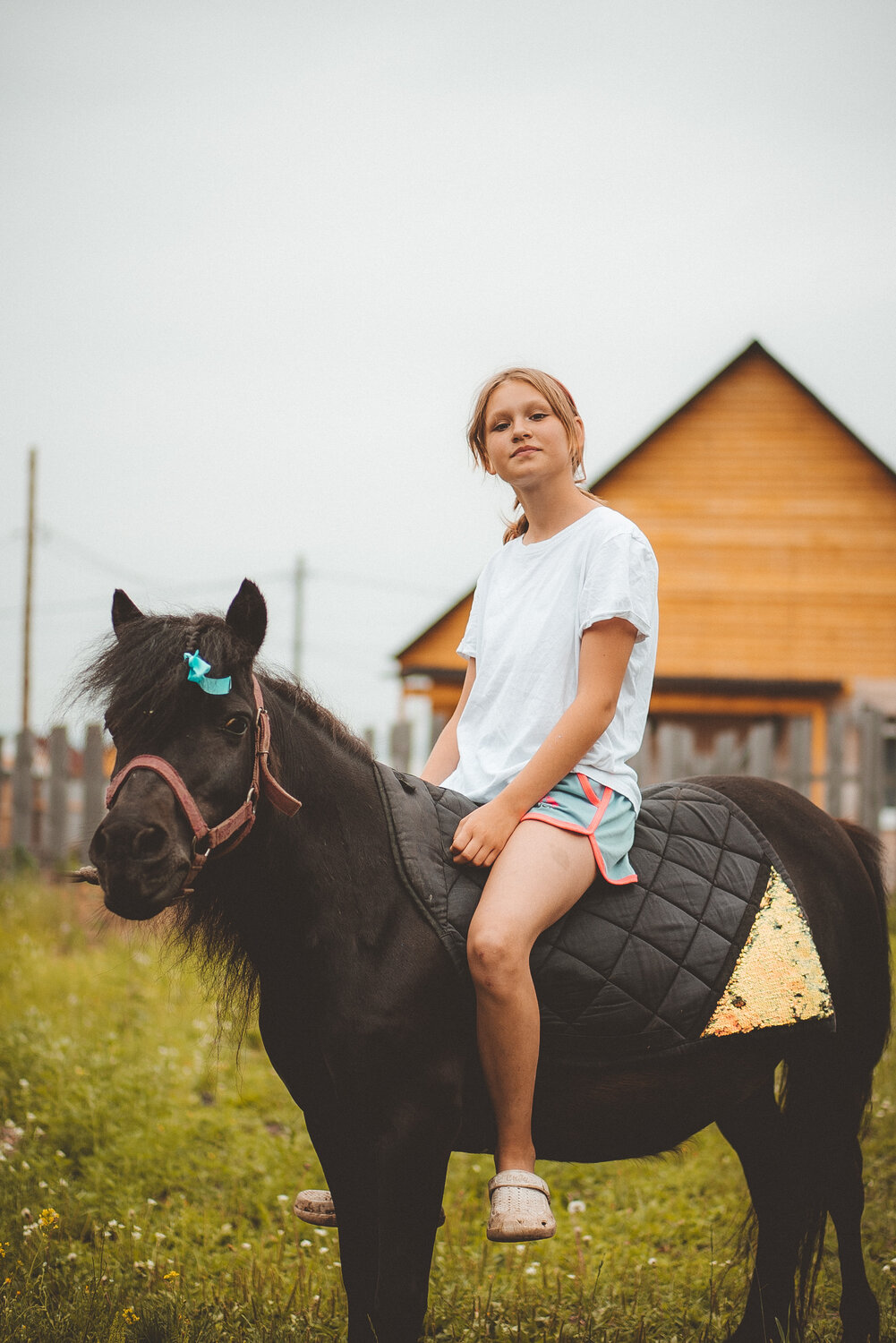прогулка на лошадях, катание на лошадях, лошадь, верхом на лошади, девочка