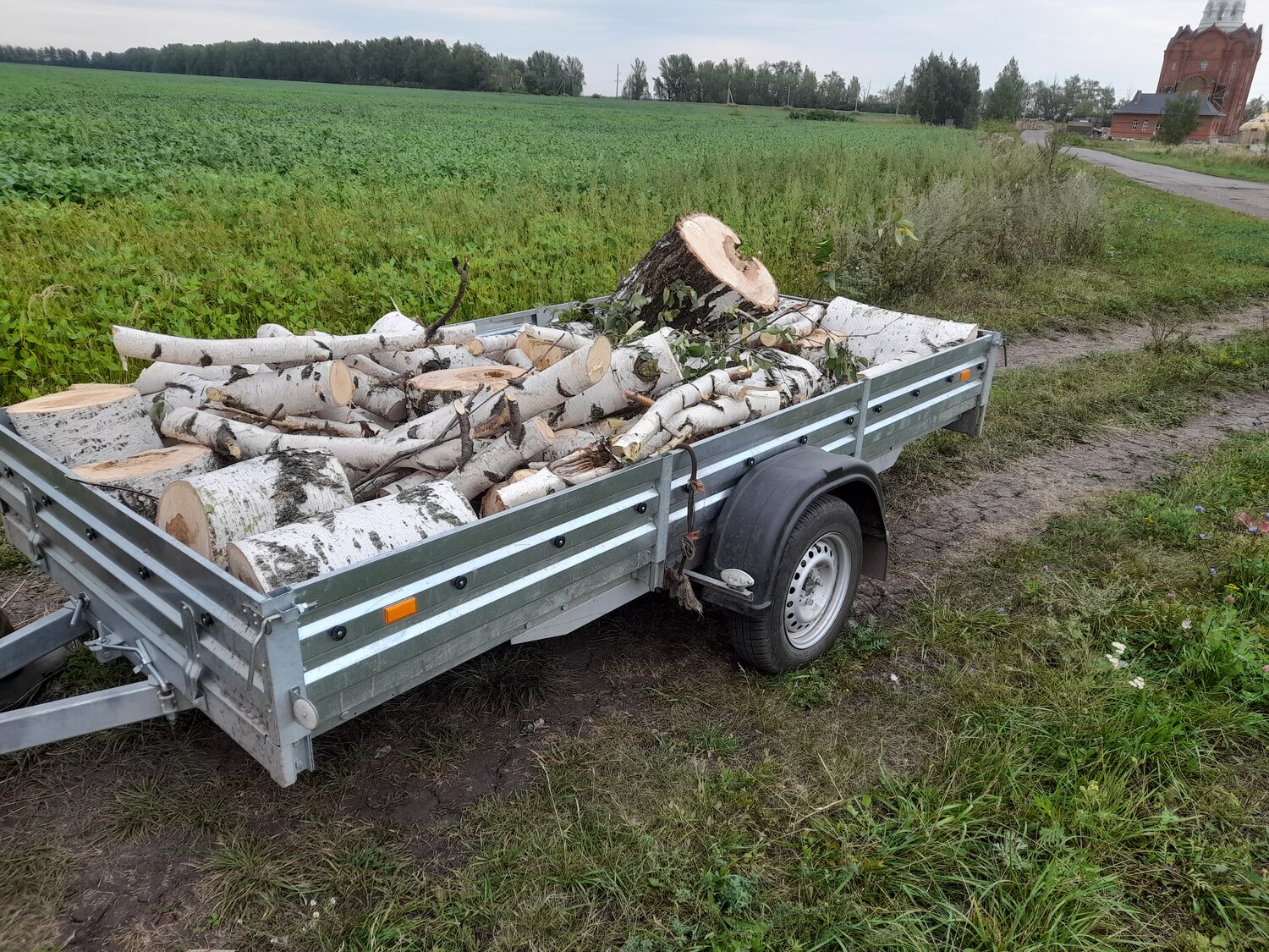 прицеп, прицеп мзса, легковой прицеп с дровами, легковой прицеп, прицеп для дров