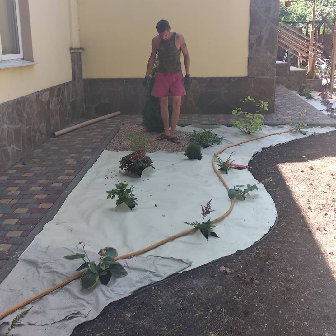 ландшафтный дизайн, дорожки, на даче, озеленение, капельный полив вокруг туи