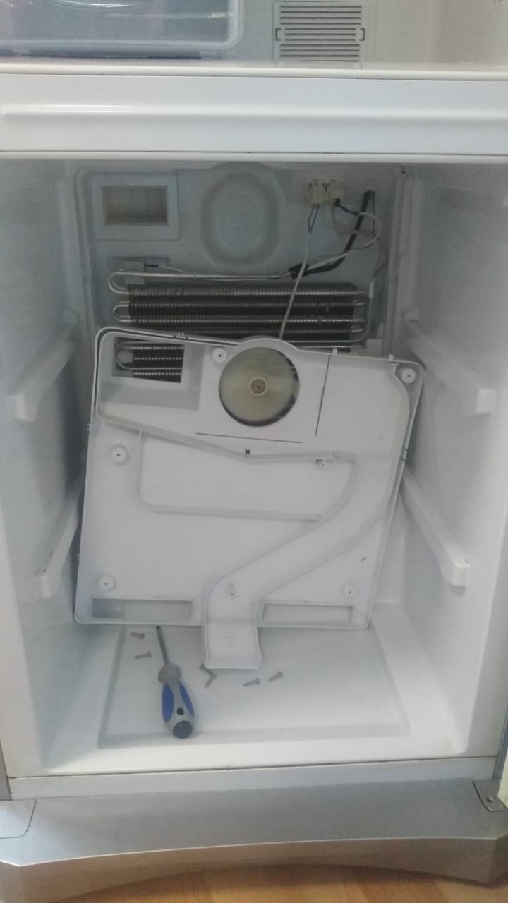 бытовая техника, холодильник, техника, бытовая техника холодильник, холодильник samsung rt-29 bvms