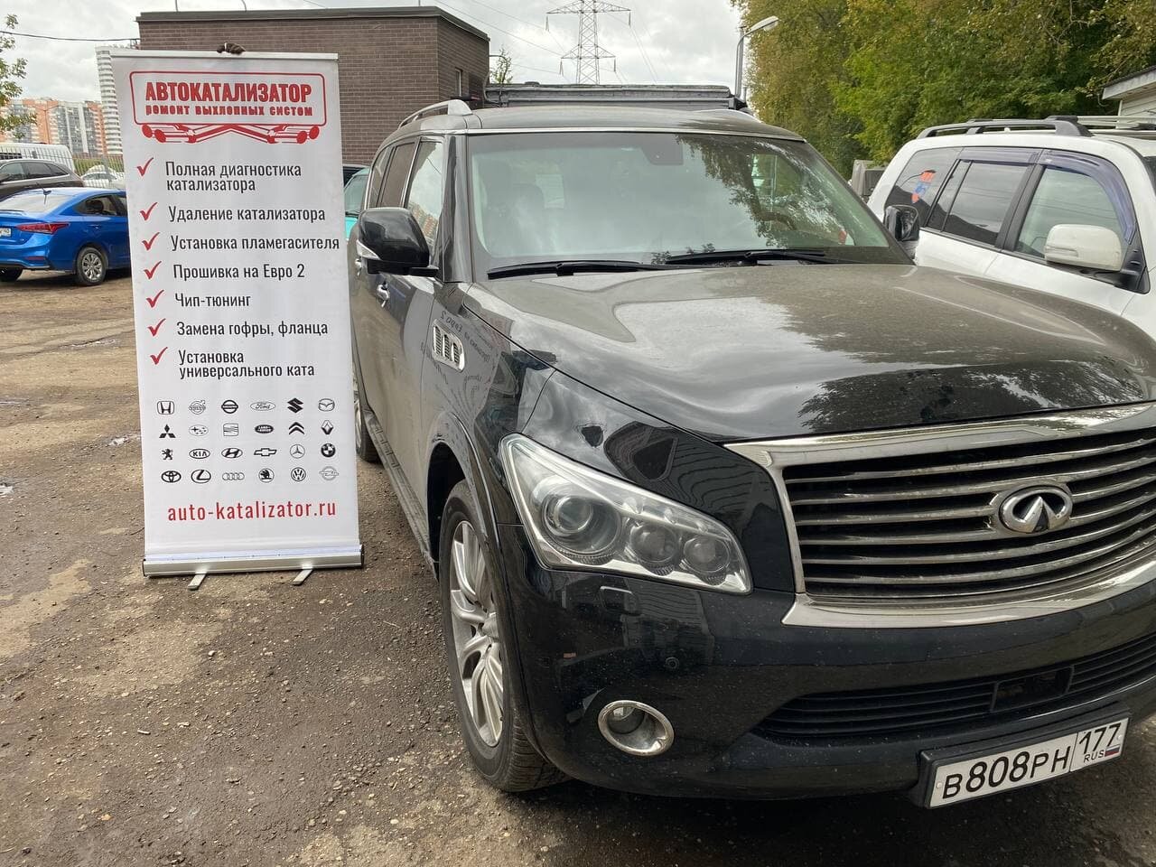 infiniti qx, infiniti, инфинити qx56 фиолетовый, infiniti qx56 2010 г.в, Infiniti QX III