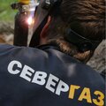 ООО "СЕВЕРГАЗ"