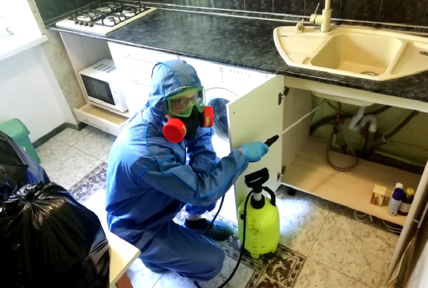 дезинфекция клопов, уничтожение клопов, дезинсекция от тараканов, дезинфекции, дезинфекция от тараканов