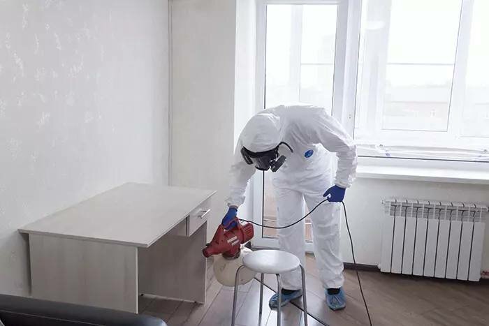дезинфекция, дезинфекция помещений, дезинфекция от клопов в квартире, дезинфекция и дезинсекция, дезинфекция дезинсекция дератизация