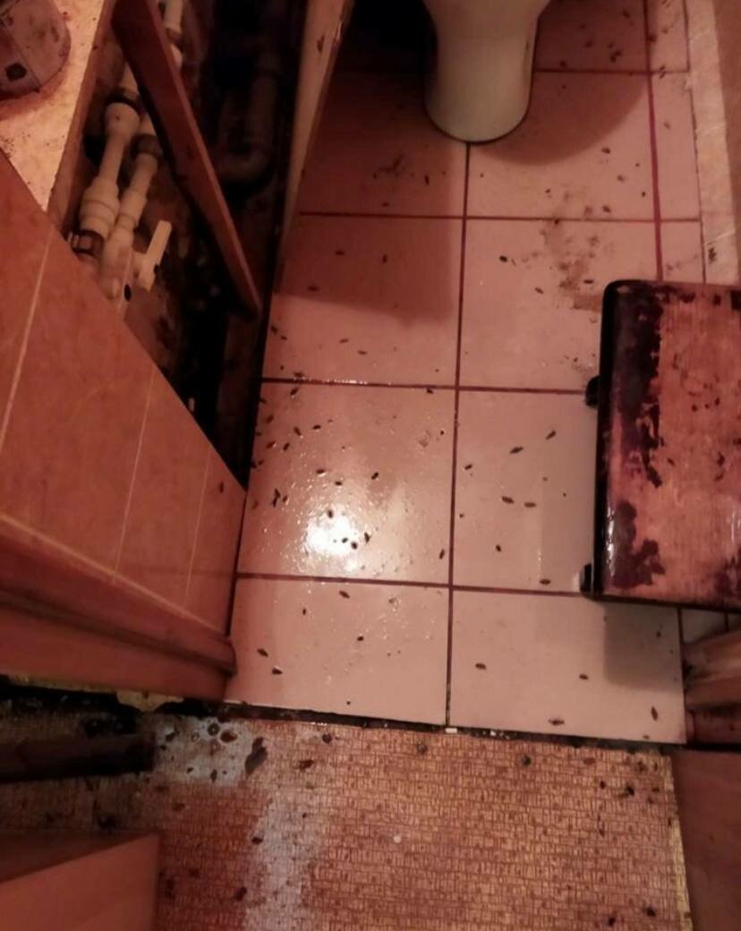 туалет, унитаз туалет, старый унитаз