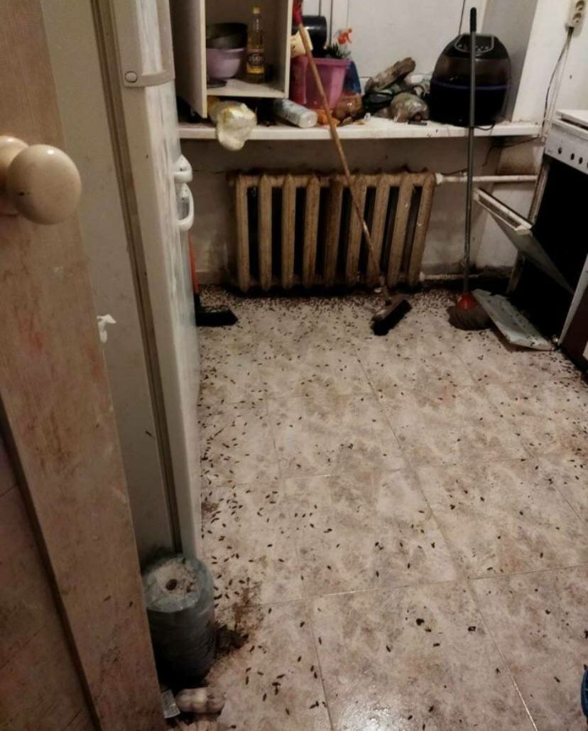 квартира, интерьер, отопления, трубы отопления, радиаторы отопления