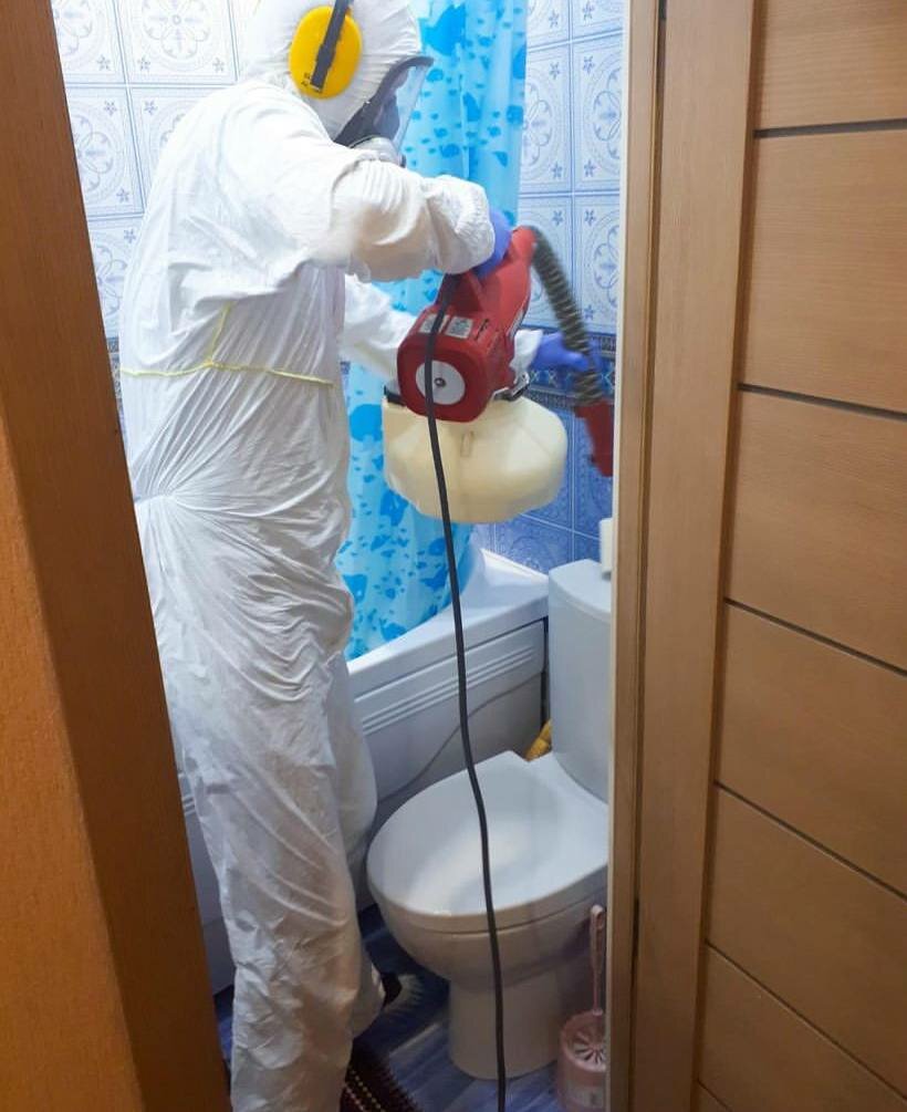 дезинфекция, дезинсекция, дезинфекция помещений от клопов, дезинфекция дезинсекция дератизация, дезинфекция от клопов