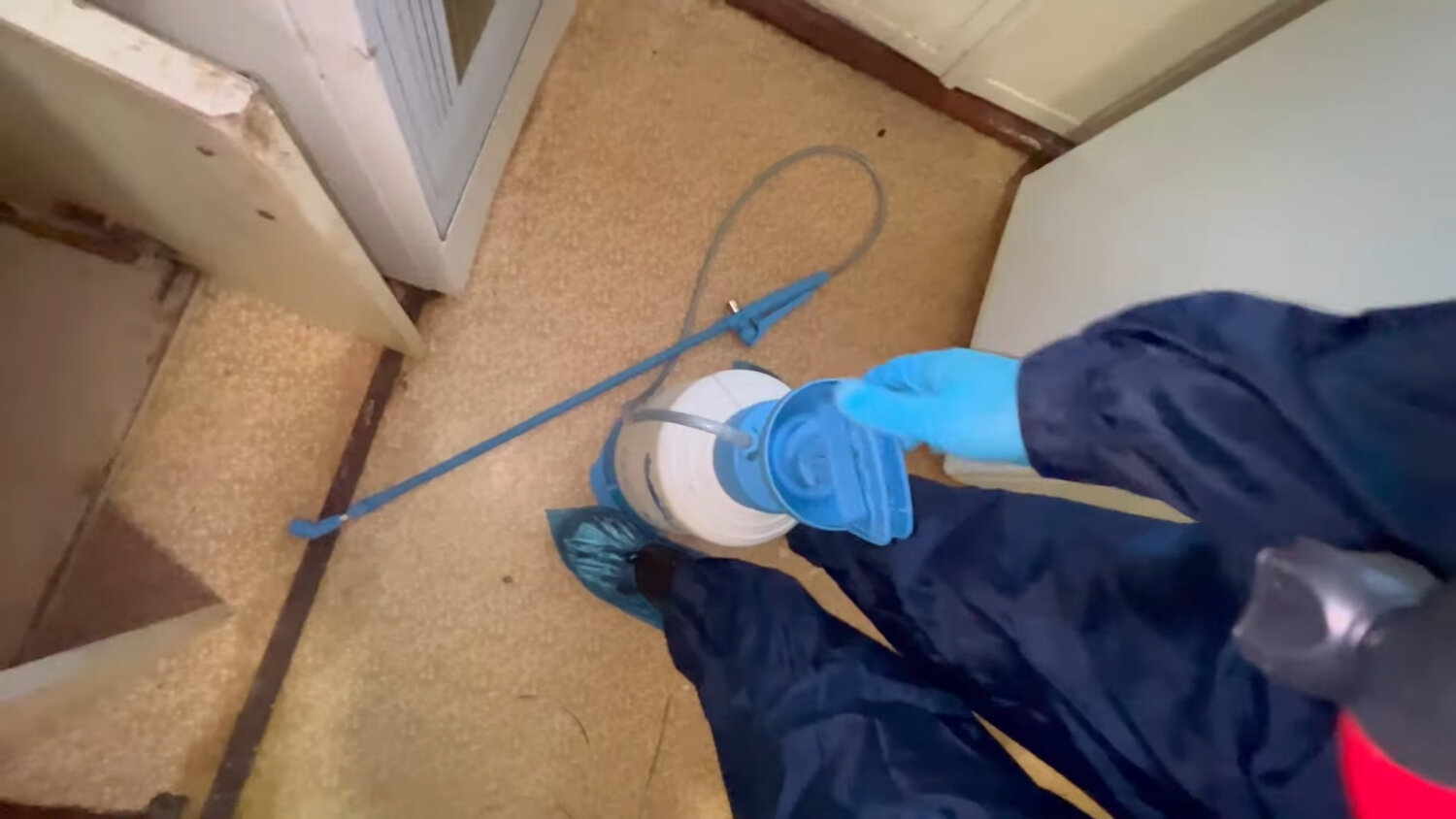 дезинфекция помещений, дезинсекция, дезинфекция от клопов, дезинфекция от клопов в квартире, дезинфекция дезинсекция дератизация