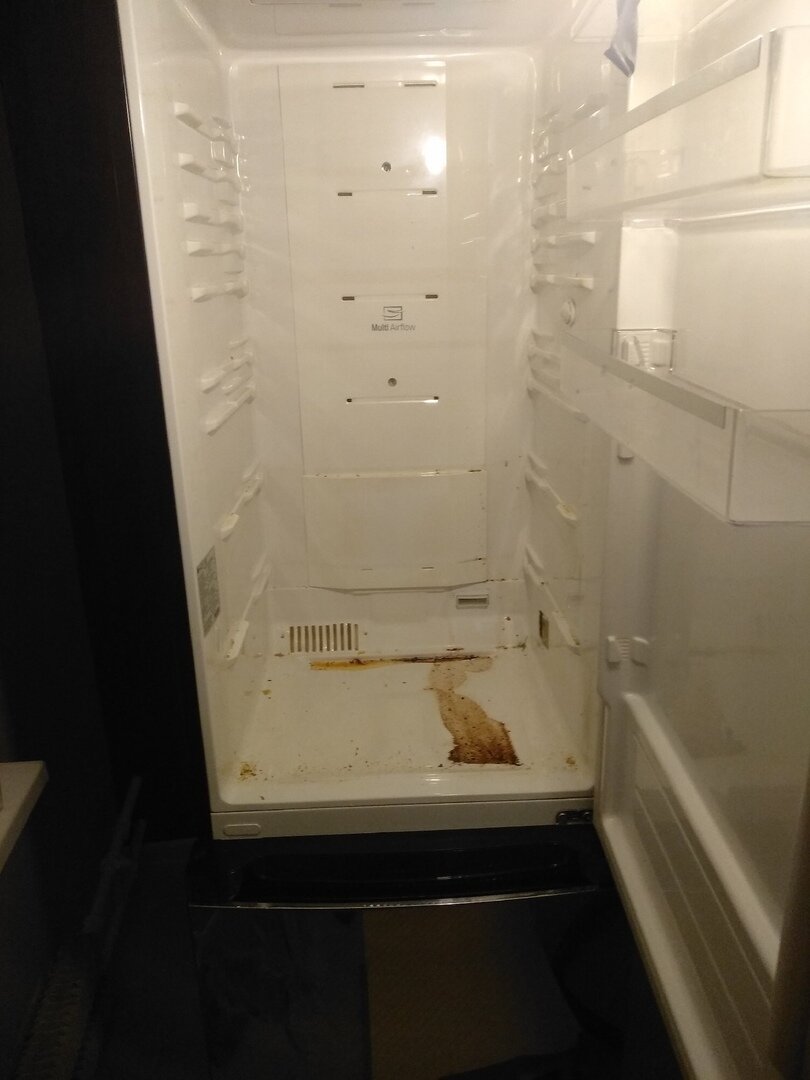 холодильник, бытовая техника холодильник, холодильник vestfrost vf200e, холодильник samsung rs55k50a02c, морозилка беко ноу фрост