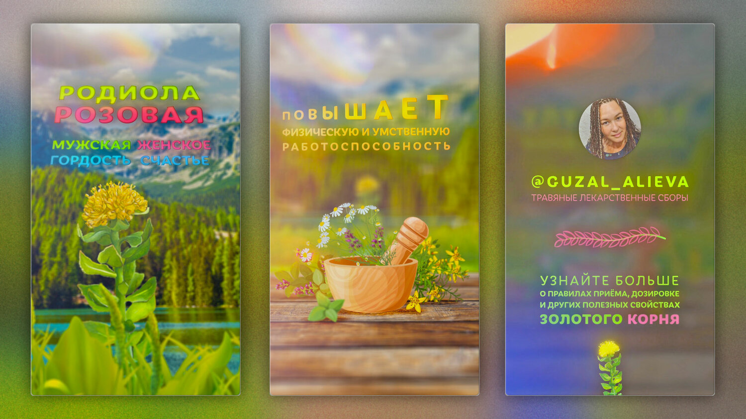 золотой корень, лекарственные растения, травяной чай, чай целебные травы, трав