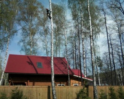 дача, участок, загородный дом, коттедж, дом