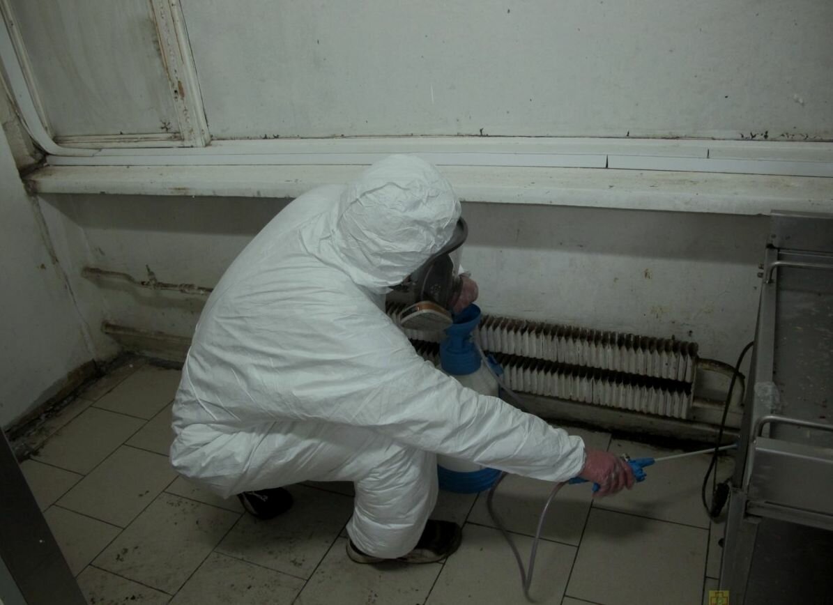 дезинфекция помещений, дезинфекция, дезинфекция столовой, дезинфекция подъездов, санитарная обработка помещений