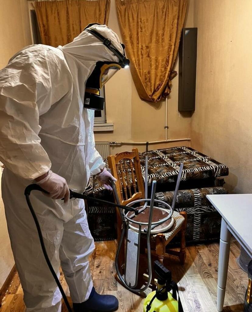 дезинсекция, дезинфекции, дезинфекция дезинсекция дератизация, дератизация, дезинфекция помещений