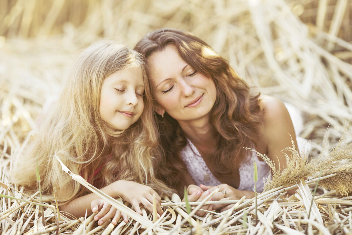 семейная фотосессия в пшеничном поле, семейная фотосессия в поле, мама с дочкой в поле, семейная фотосессия в поле пшеницы, мамина дочка