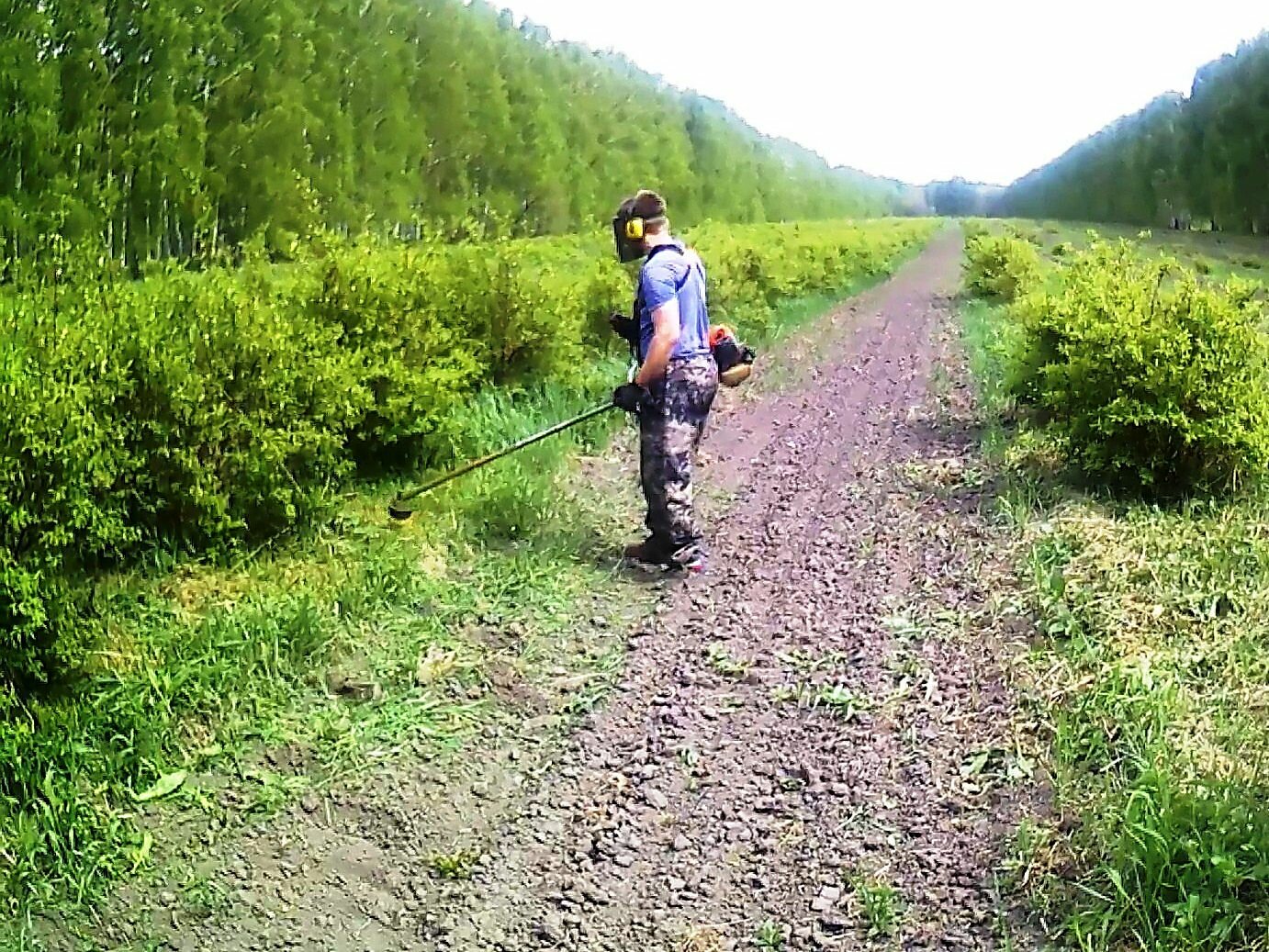 природа, грунтовая дорога, дорог, грунтовая дорога камаз, лес