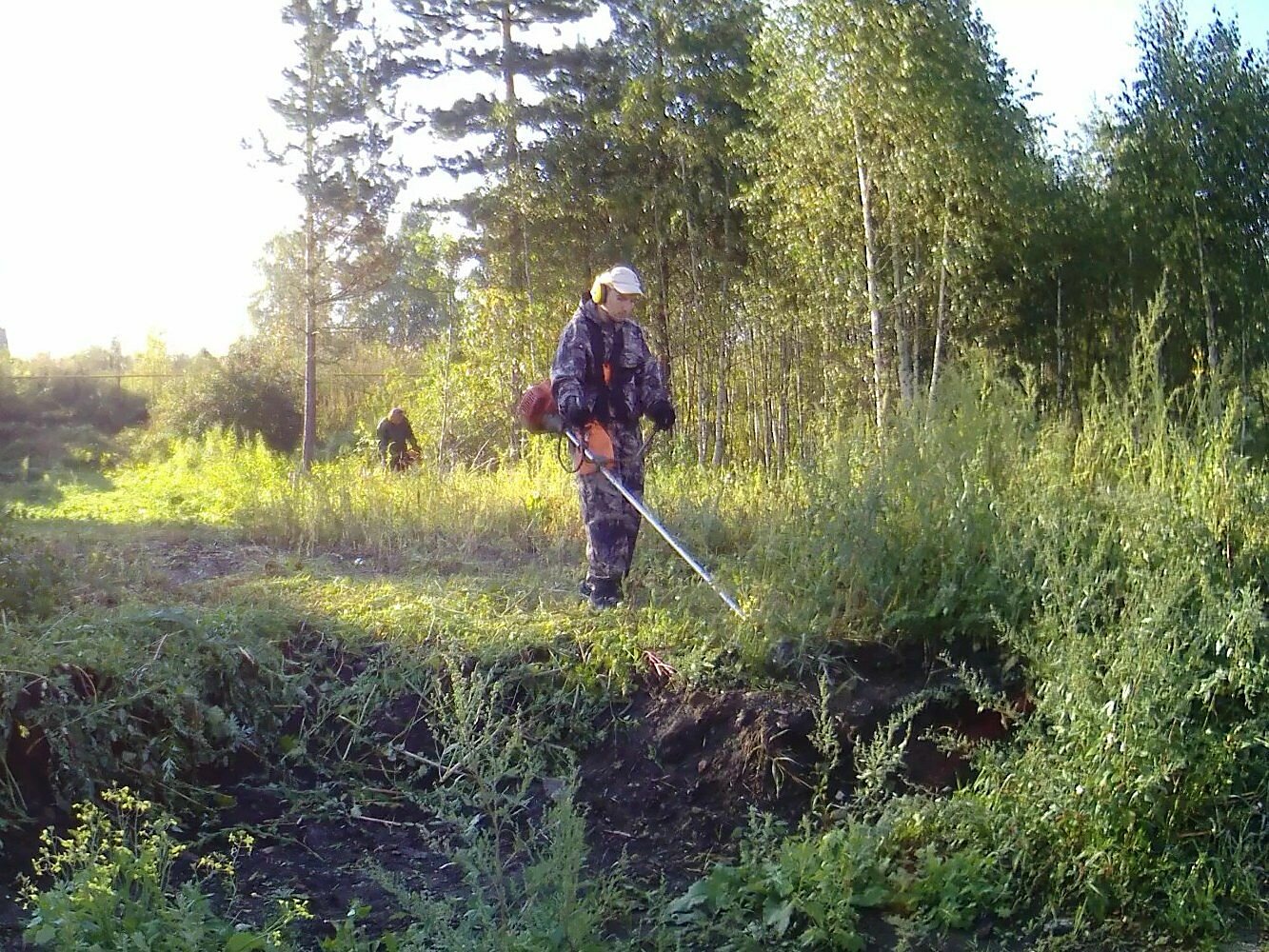 агроуход за лесными культурами, природа, деревня черпесса великолукский район, покос амброзии, сенокос
