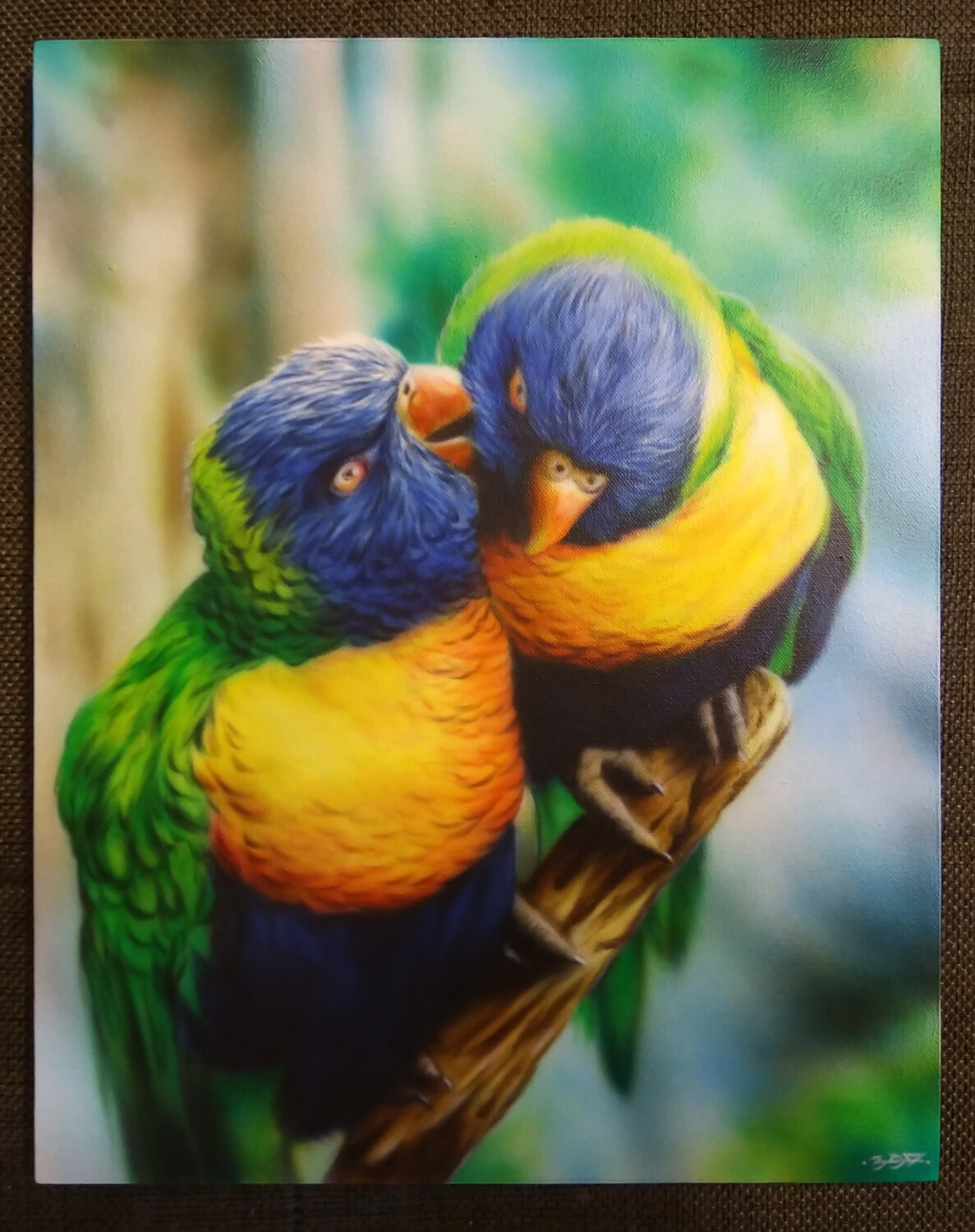 попугай многоцветный лорикет, птица лорикет, попугай черношапочный лорикет, радужные попугаи, лорикет попугай