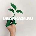 Uborka21.ru