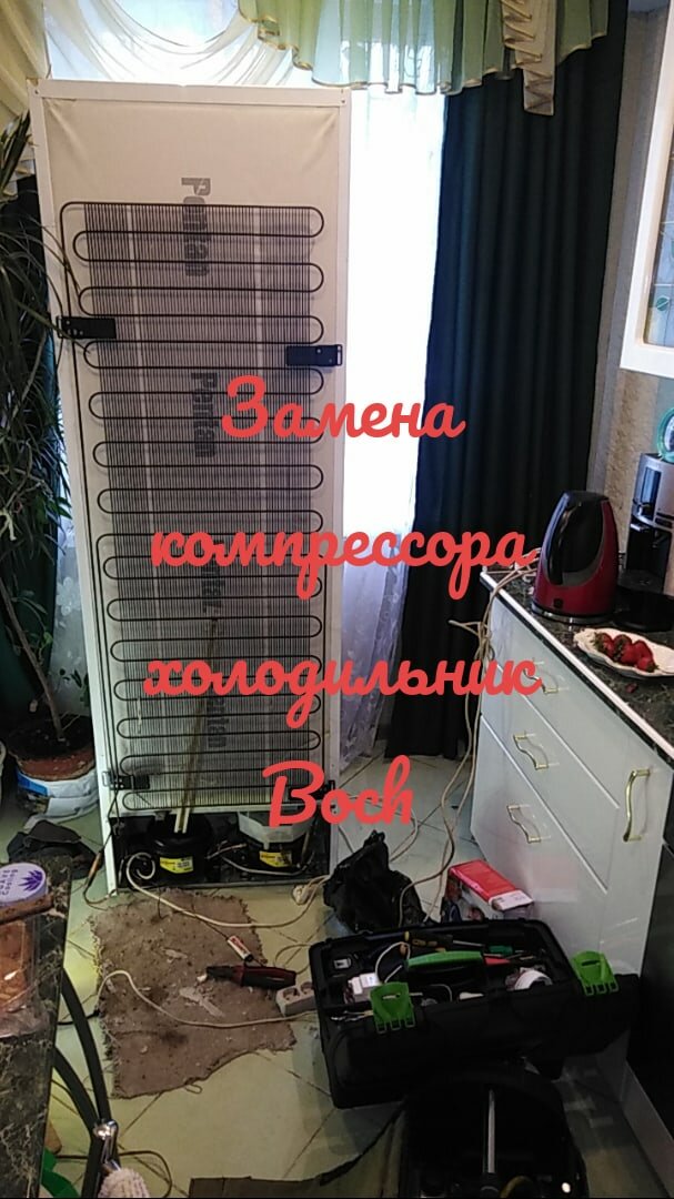 холодильник, бытовая техника, бытовая техника холодильник, бирюса 110 холодильник, бытовые холодильники