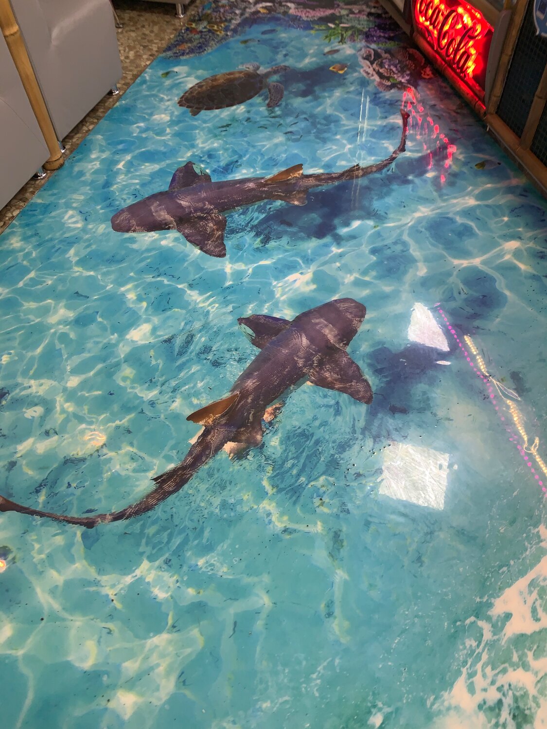 багамы акулы няньки, самонивелирующийся наливной пол 3д, акула, in the bahamas swim with sharks, багамские острова акулы