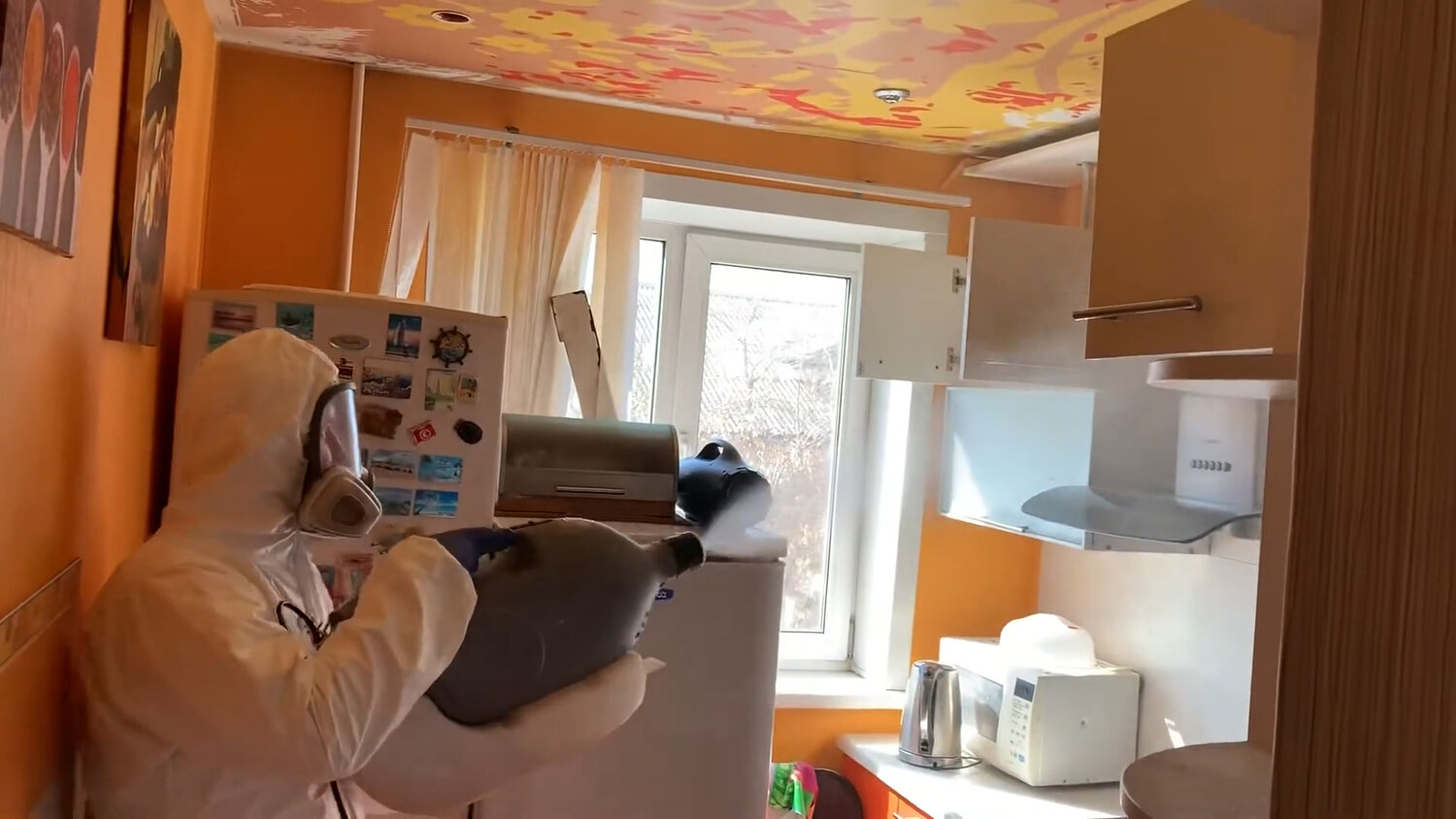 дезинсекция, дезинфекция, уничтожение клопов, дезинфекция дезинсекция дератизация, дезинсекция клопов туманом