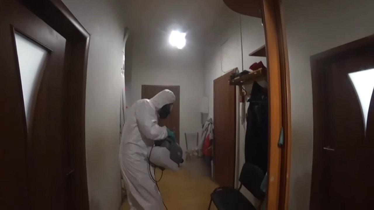 дезинсекция, дезинфекция, дезинфекция и дезинсекция, дезинфекция дезинсекция дератизация, дезинсекция от кожееда