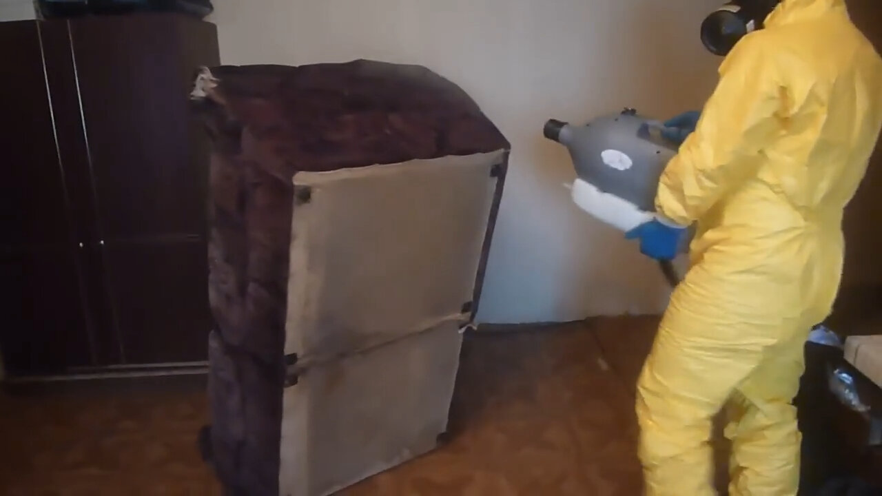 дезинсекция, дезинфекция, дезинфекция дезинсекция дератизация, дезинфекция и дезинсекция, уборка помещений после дезинфекции