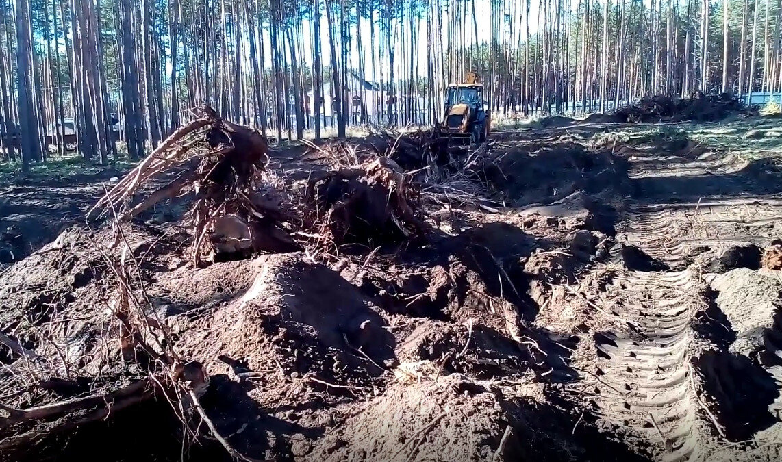 лесной пожар, лес в 2010 году и лес в 2022, лес, лесной фонд, корчевание пней